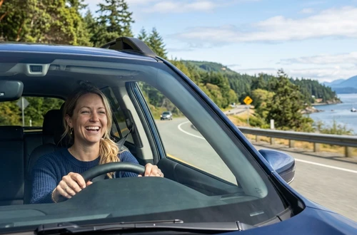DriveWise advisor with customer